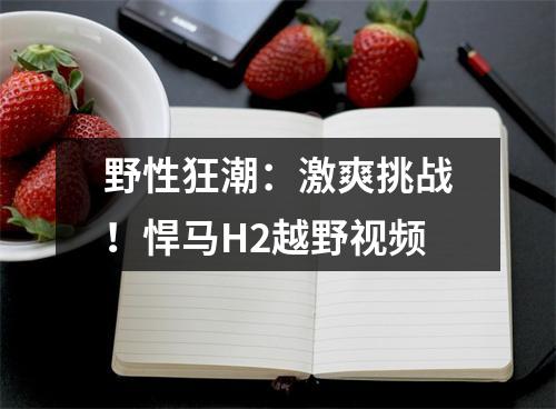 野性狂潮：激爽挑战！悍马H2越野视频