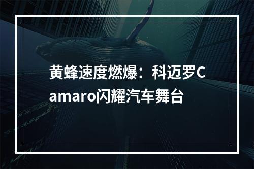 黄蜂速度燃爆：科迈罗Camaro闪耀汽车舞台