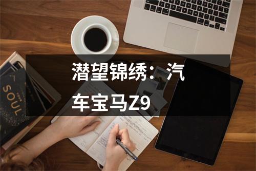 潜望锦绣：汽车宝马Z9