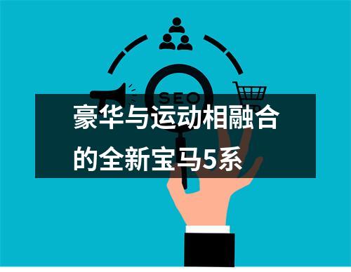 豪华与运动相融合的全新宝马5系