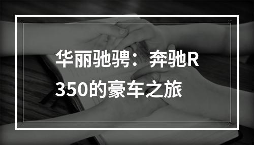 华丽驰骋：奔驰R350的豪车之旅