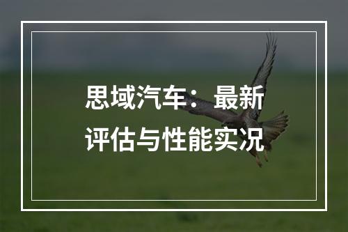 思域汽车：最新评估与性能实况