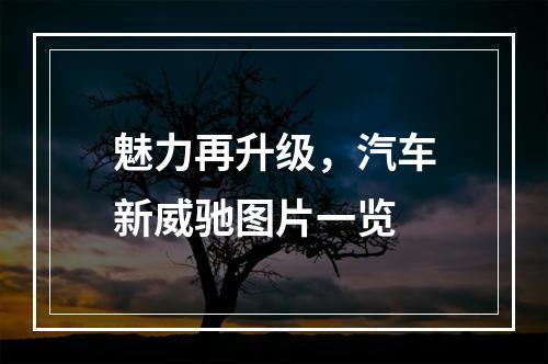 魅力再升级，汽车新威驰图片一览