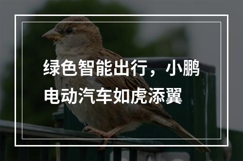 绿色智能出行，小鹏电动汽车如虎添翼