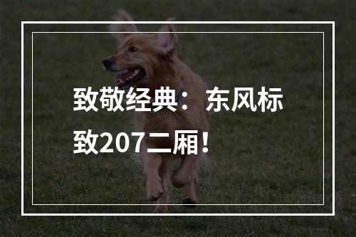 致敬经典：东风标致207二厢！