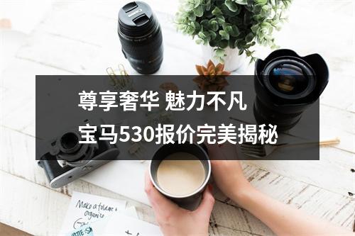 尊享奢华 魅力不凡  宝马530报价完美揭秘