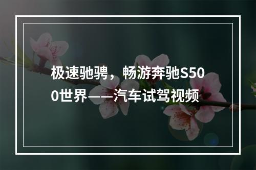 极速驰骋，畅游奔驰S500世界——汽车试驾视频