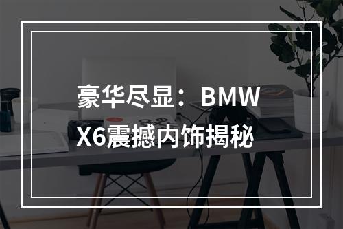 豪华尽显：BMW X6震撼内饰揭秘