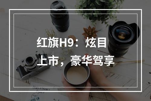 红旗H9：炫目上市，豪华驾享