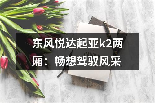 东风悦达起亚k2两厢：畅想驾驭风采