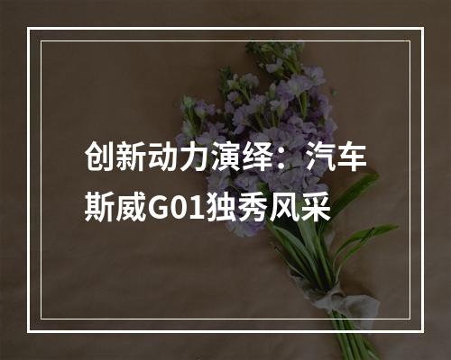 创新动力演绎：汽车斯威G01独秀风采