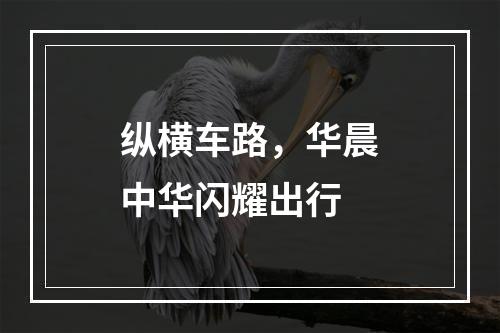 纵横车路，华晨中华闪耀出行