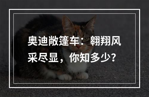 奥迪敞篷车：翱翔风采尽显，你知多少？