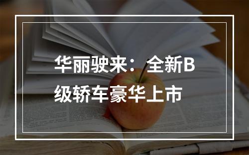 华丽驶来：全新B级轿车豪华上市