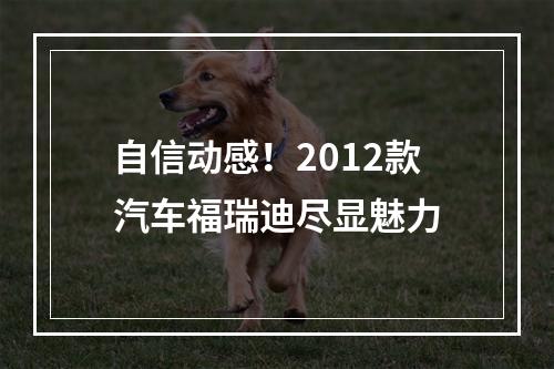 自信动感！2012款汽车福瑞迪尽显魅力