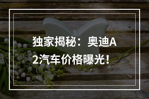 独家揭秘：奥迪A2汽车价格曝光！