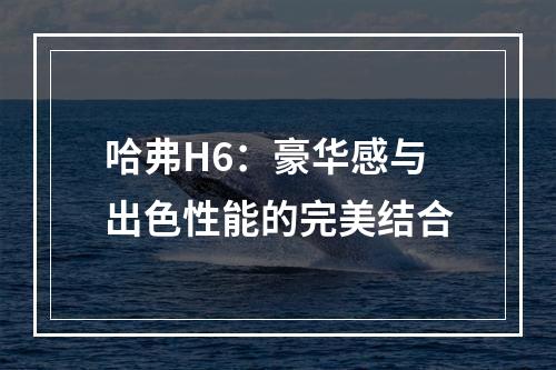 哈弗H6：豪华感与出色性能的完美结合