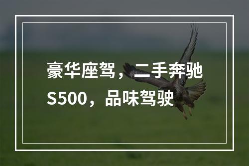 豪华座驾，二手奔驰S500，品味驾驶