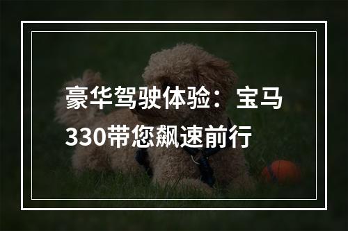 豪华驾驶体验：宝马330带您飙速前行