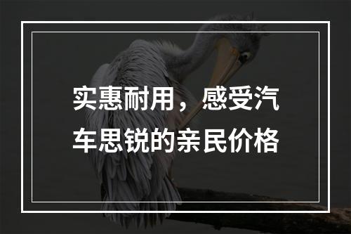 实惠耐用，感受汽车思锐的亲民价格