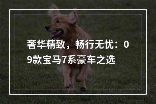 奢华精致，畅行无忧：09款宝马7系豪车之选