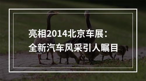 亮相2014北京车展：全新汽车风采引人瞩目