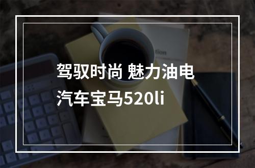 驾驭时尚 魅力油电 汽车宝马520li