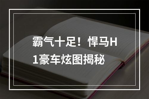 霸气十足！悍马H1豪车炫图揭秘