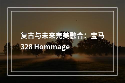 复古与未来完美融合：宝马328 Hommage