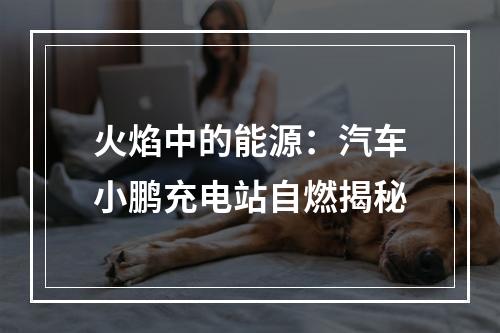 火焰中的能源：汽车小鹏充电站自燃揭秘