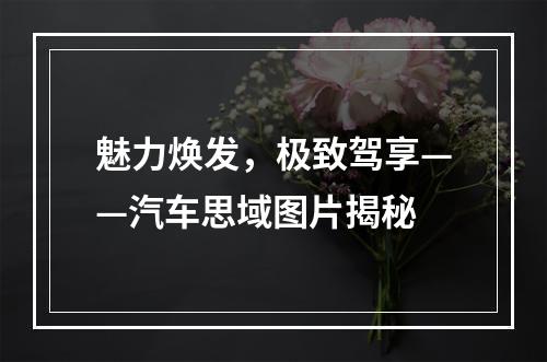 魅力焕发，极致驾享——汽车思域图片揭秘