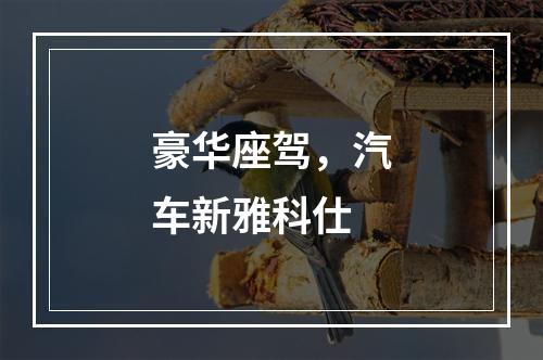 豪华座驾，汽车新雅科仕