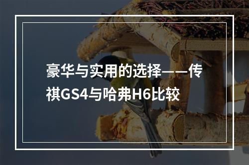 豪华与实用的选择——传祺GS4与哈弗H6比较