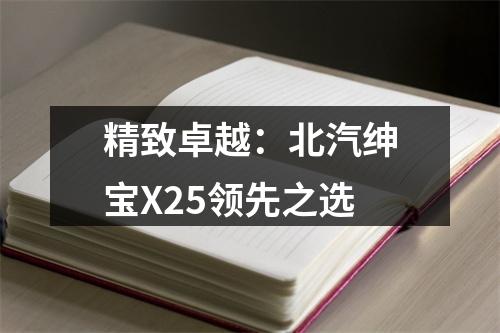 精致卓越：北汽绅宝X25领先之选