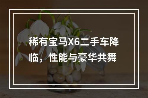 稀有宝马X6二手车降临，性能与豪华共舞