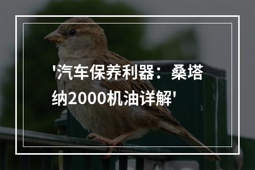 '汽车保养利器：桑塔纳2000机油详解'