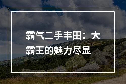 霸气二手丰田：大霸王的魅力尽显