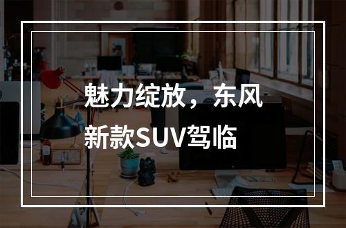 魅力绽放，东风新款SUV驾临