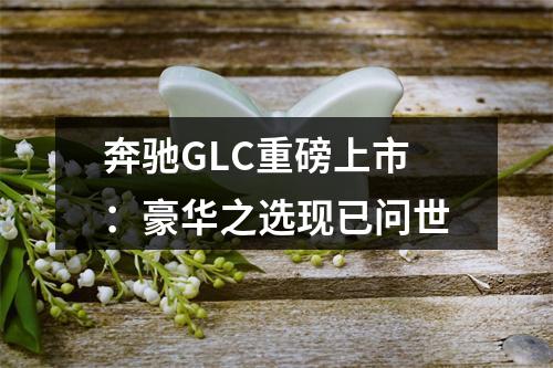 奔驰GLC重磅上市：豪华之选现已问世