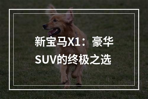 新宝马X1：豪华SUV的终极之选