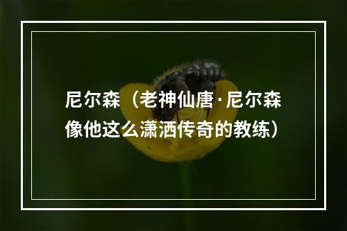 尼尔森（老神仙唐·尼尔森像他这么潇洒传奇的教练）