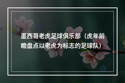 墨西哥老虎足球俱乐部（虎年前瞻盘点以老虎为标志的足球队）