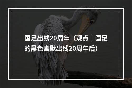 国足出线20周年（观点｜国足的黑色幽默出线20周年后）