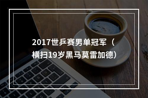 2017世乒赛男单冠军（横扫19岁黑马莫雷加德）