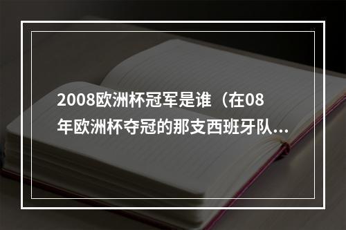 2008欧洲杯冠军是谁（在08年欧洲杯夺冠的那支西班牙队中）