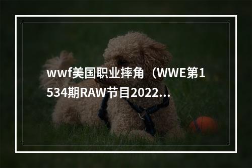 wwf美国职业摔角（WWE第1534期RAW节目2022年10月17日赛况及精选照片集）