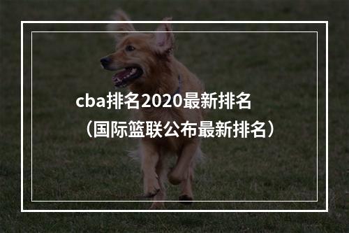 cba排名2020最新排名（国际篮联公布最新排名）