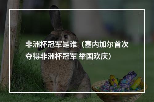 非洲杯冠军是谁（塞内加尔首次夺得非洲杯冠军 举国欢庆）