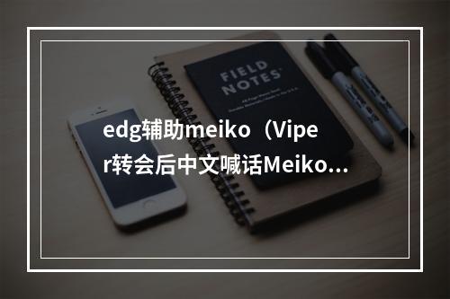 edg辅助meiko（Viper转会后中文喊话Meiko引泪目我觉得你是最猛的辅助）