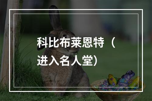 科比布莱恩特（进入名人堂）